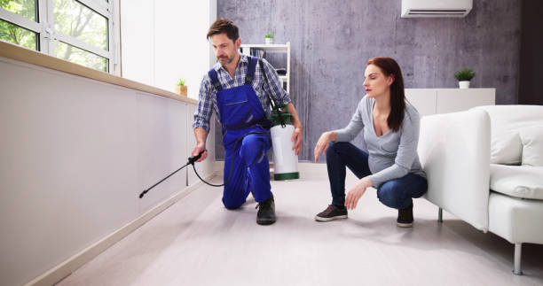 Best Real Estate Pest Inspections  in Hephzibah, GA